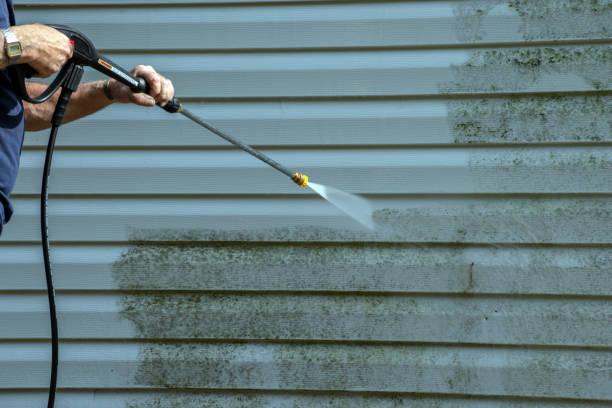 Best Roof Power Washing Services  in Springfield, NE