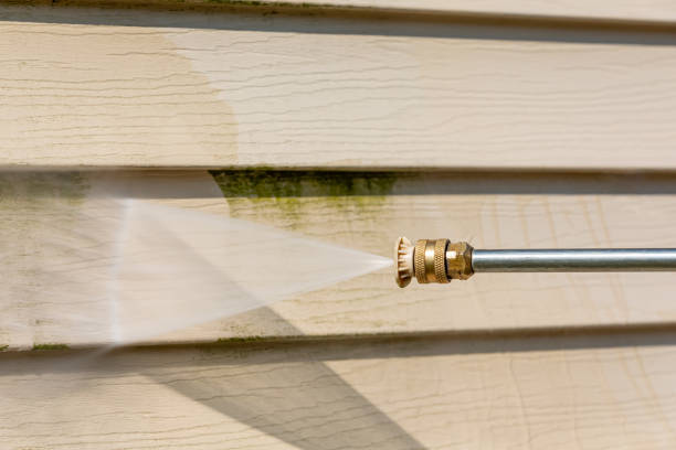 Best Exterior Home Cleaning  in Springfield, NE