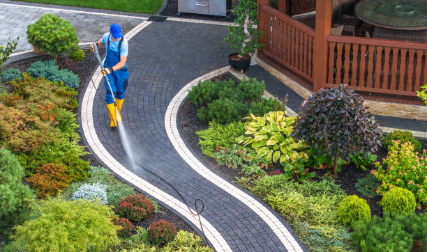 Best Best Pressure Washing Companies  in Springfield, NE